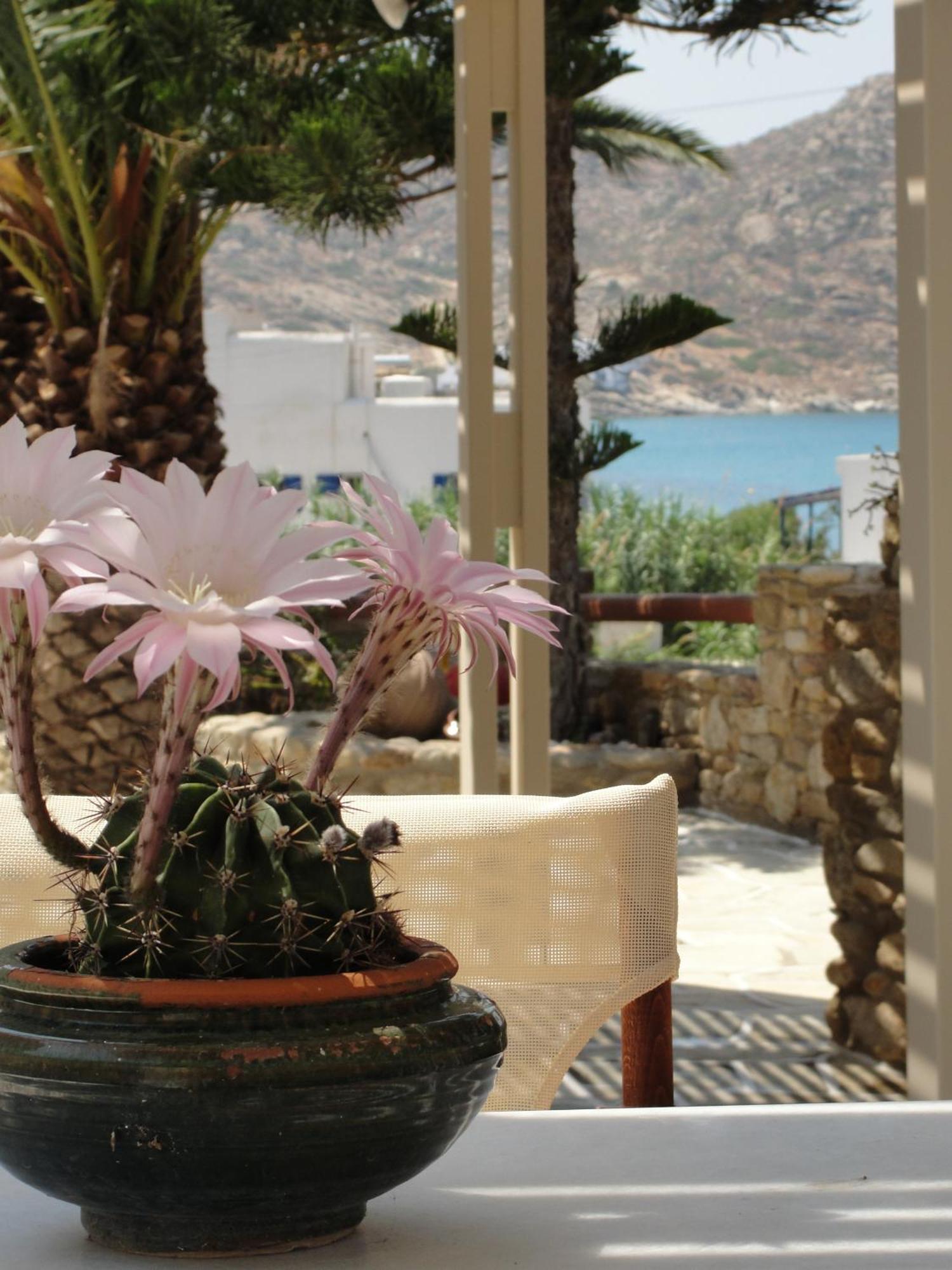 Galaxy Hotel Mylopotas Eksteriør billede